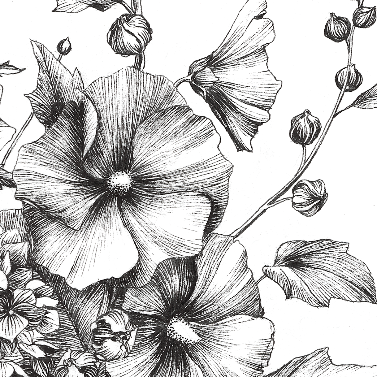 Floral Journeys