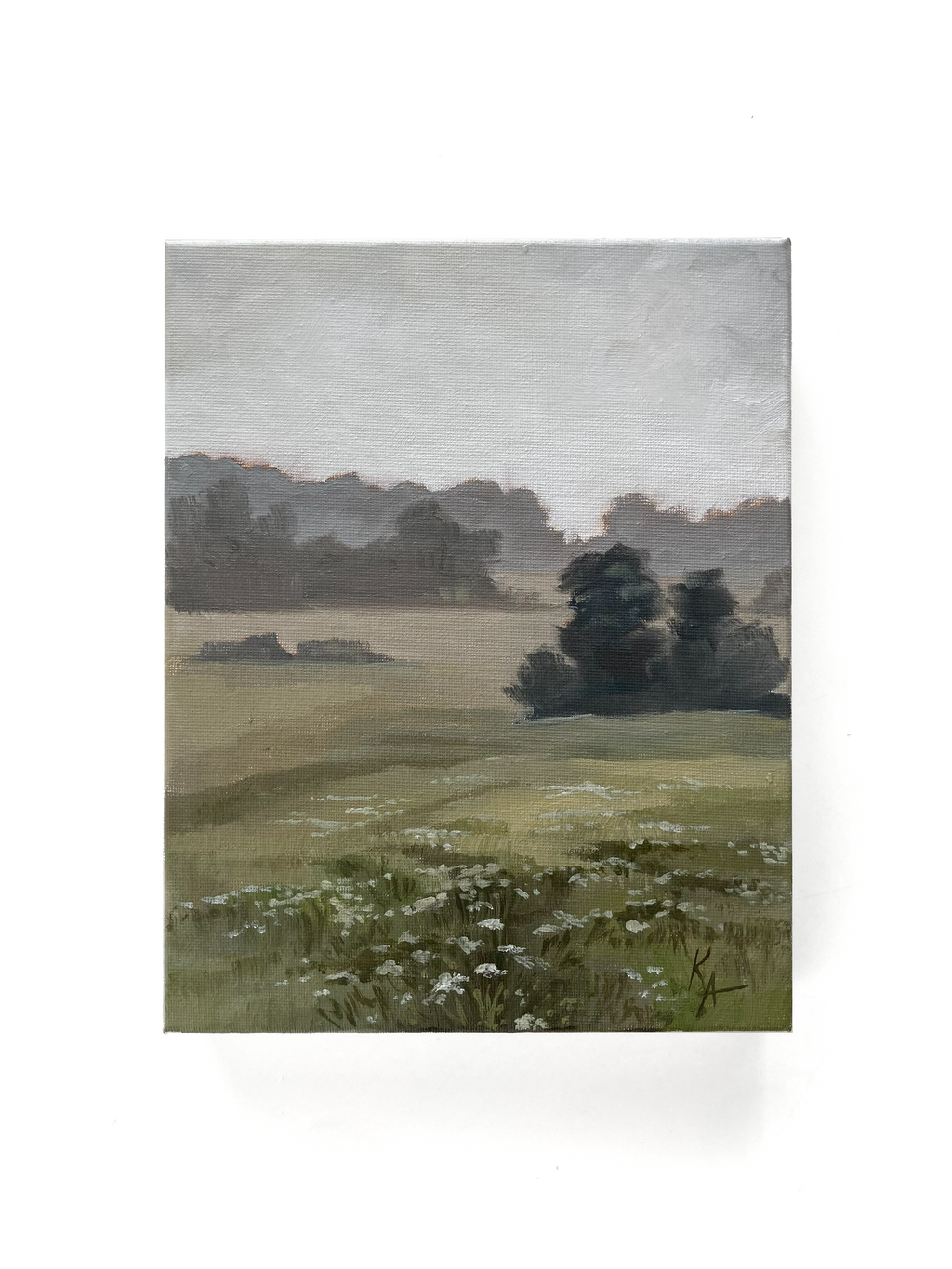 Misty Morning