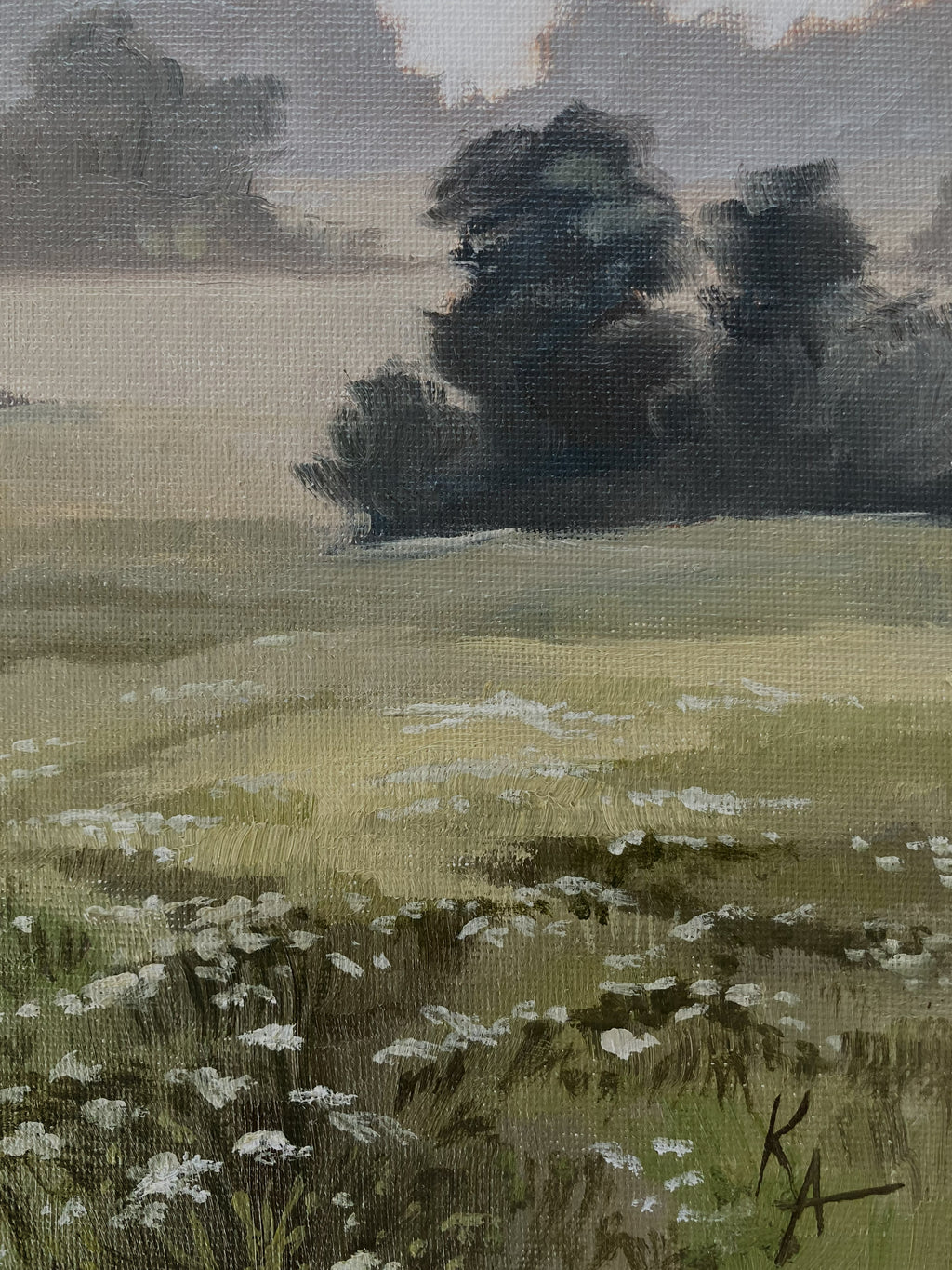 Misty Morning